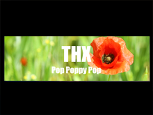 THX-Project Pop Poppy Pop