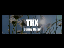 THX-Project Sunny Daisy